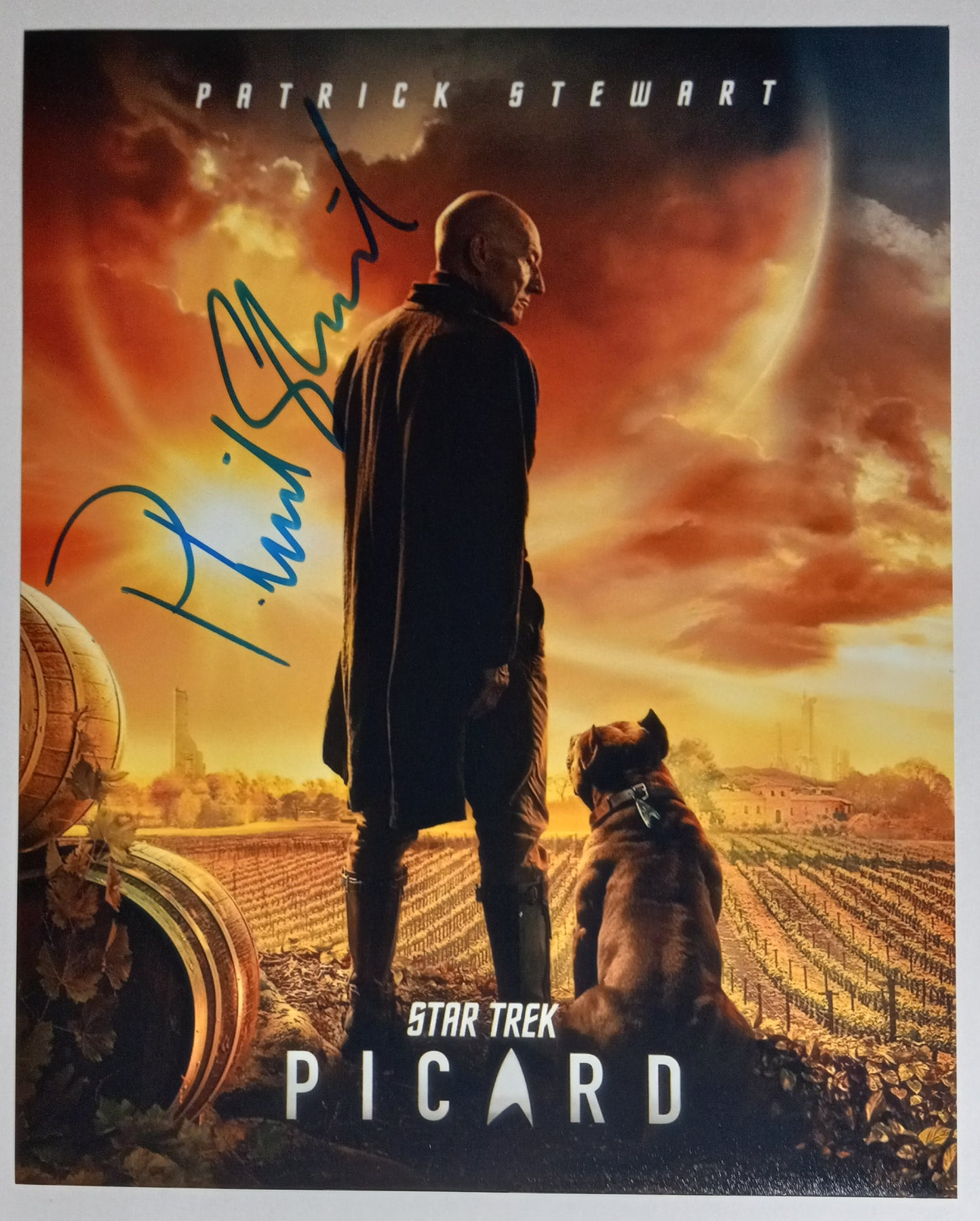 Patrick Stewart