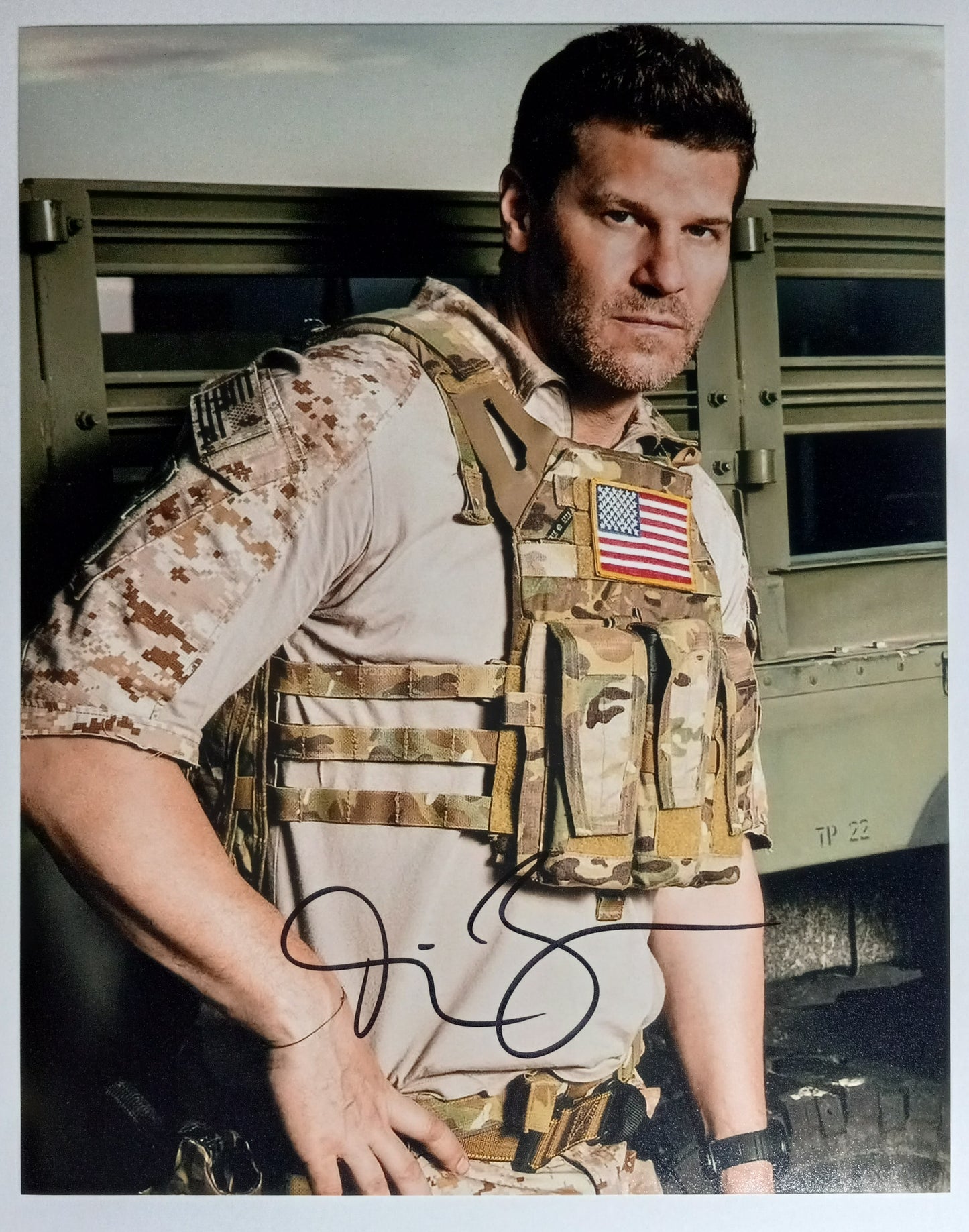 David Boreanaz
