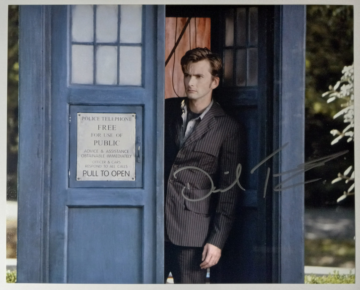 David Tennant