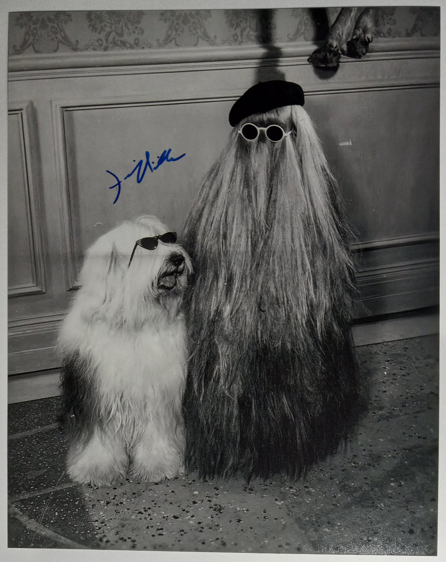 Felix Silla