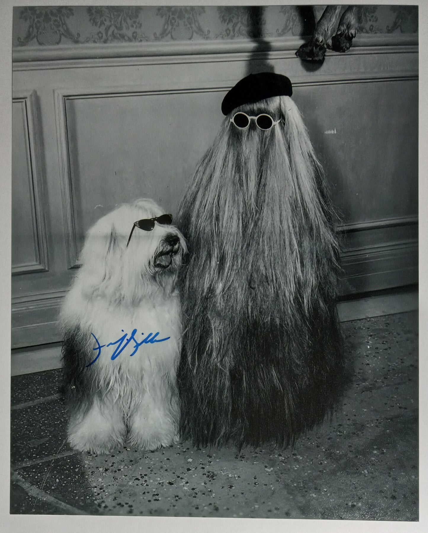 Felix Silla