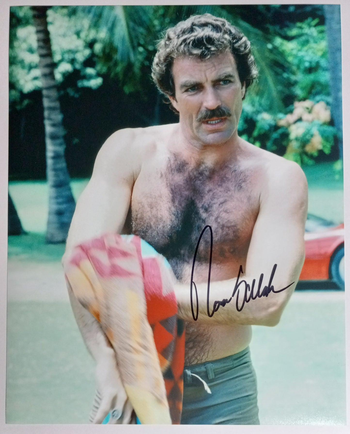 Tom Selleck