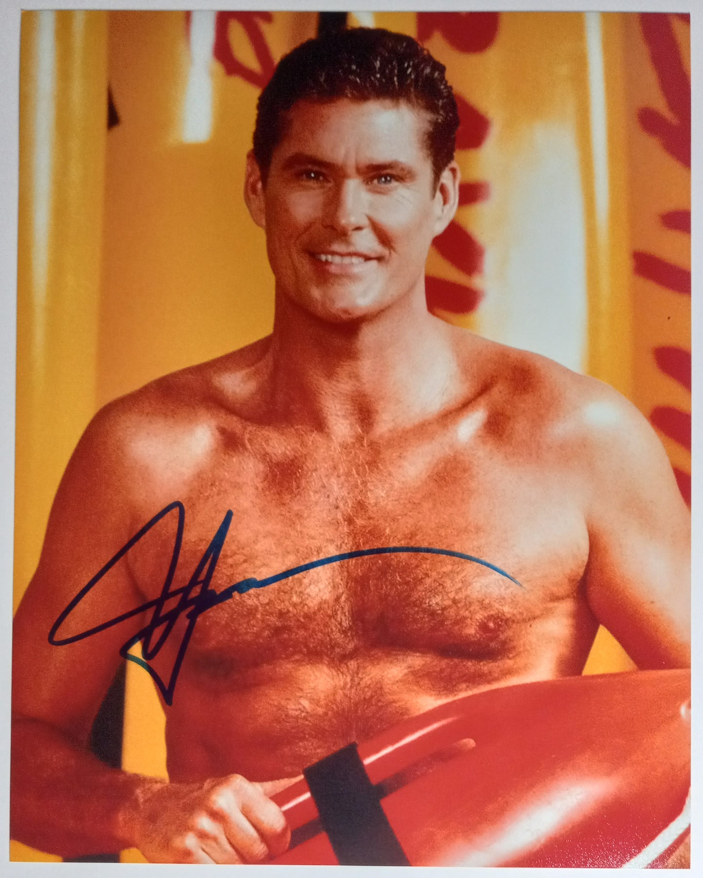 David Hasselhoff