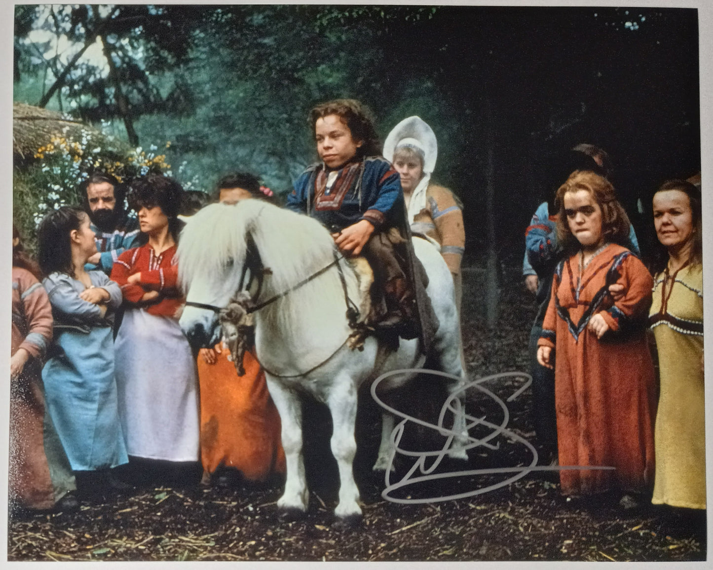Warwick Davis