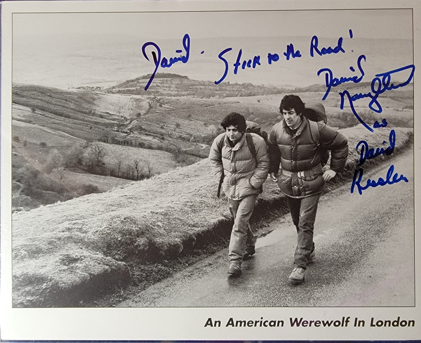 David Naughton