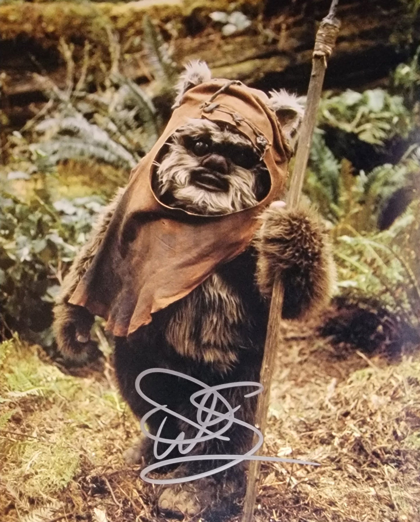 Warwick Davis