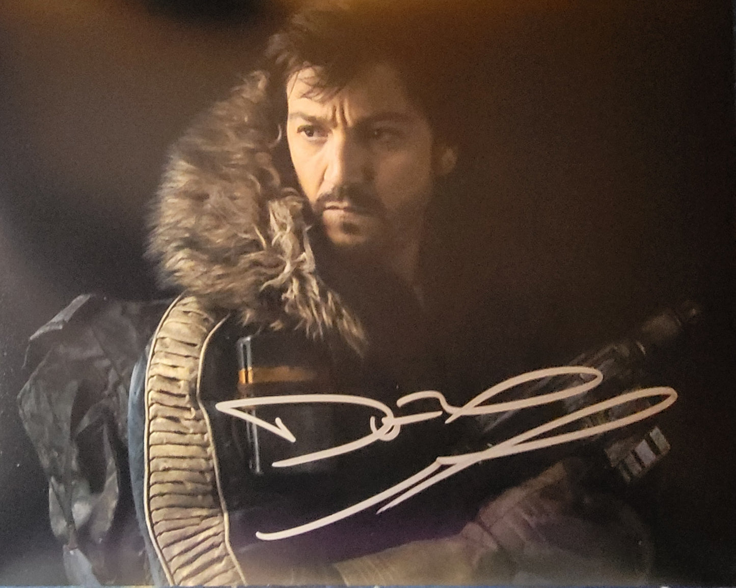 Diego Luna