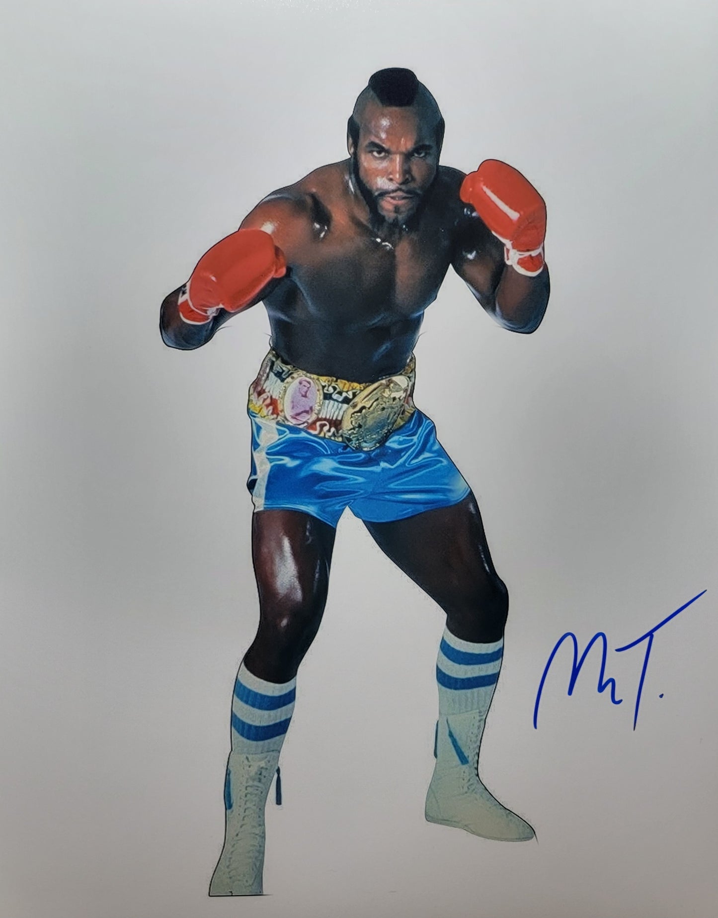 Mr. T