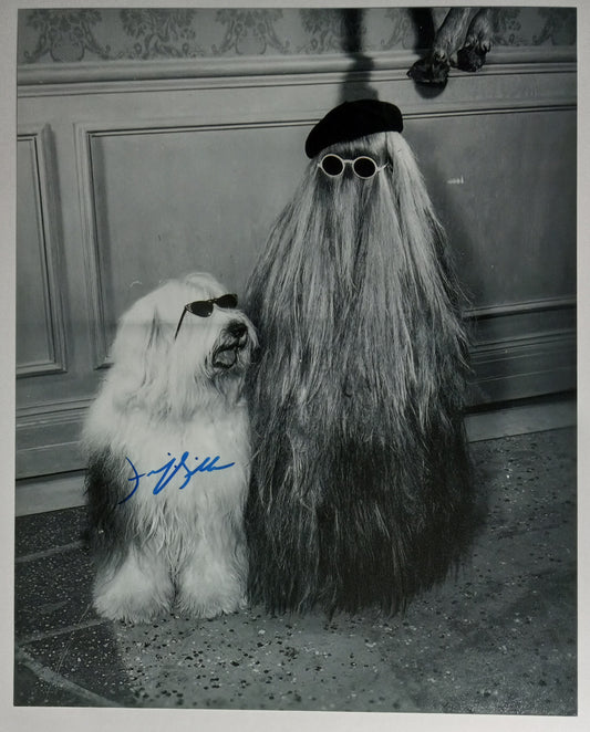 Felix Silla