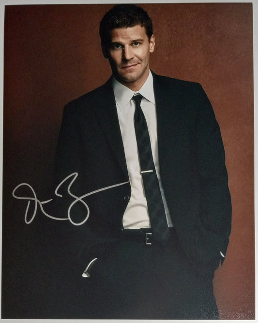 David Boreanaz
