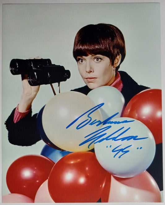 Barbara Feldon