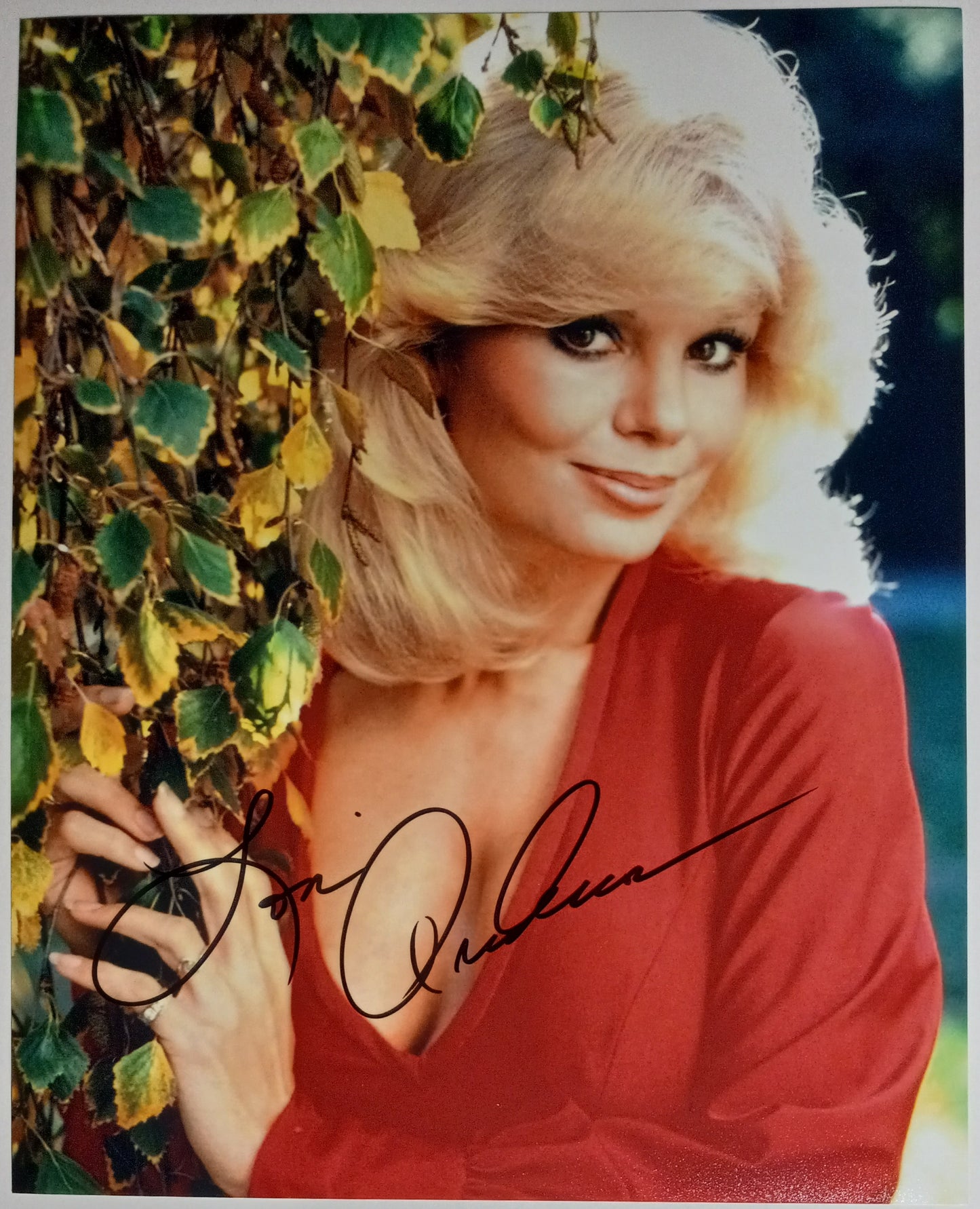 Loni Anderson
