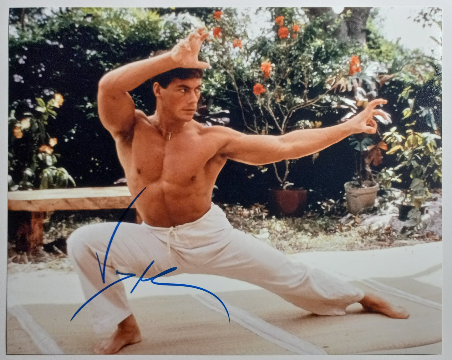 Jean Claude Van Damme