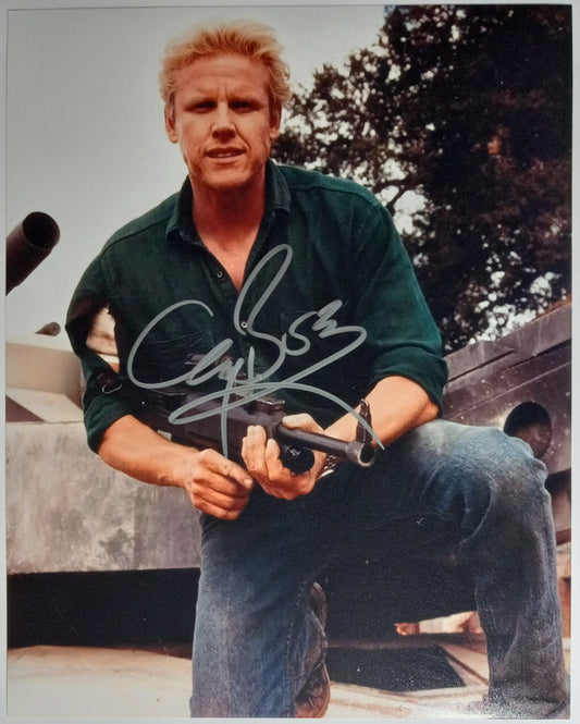 Gary Busey