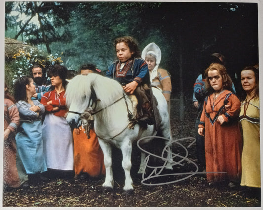 Warwick Davis