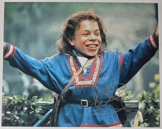 Warwick Davis