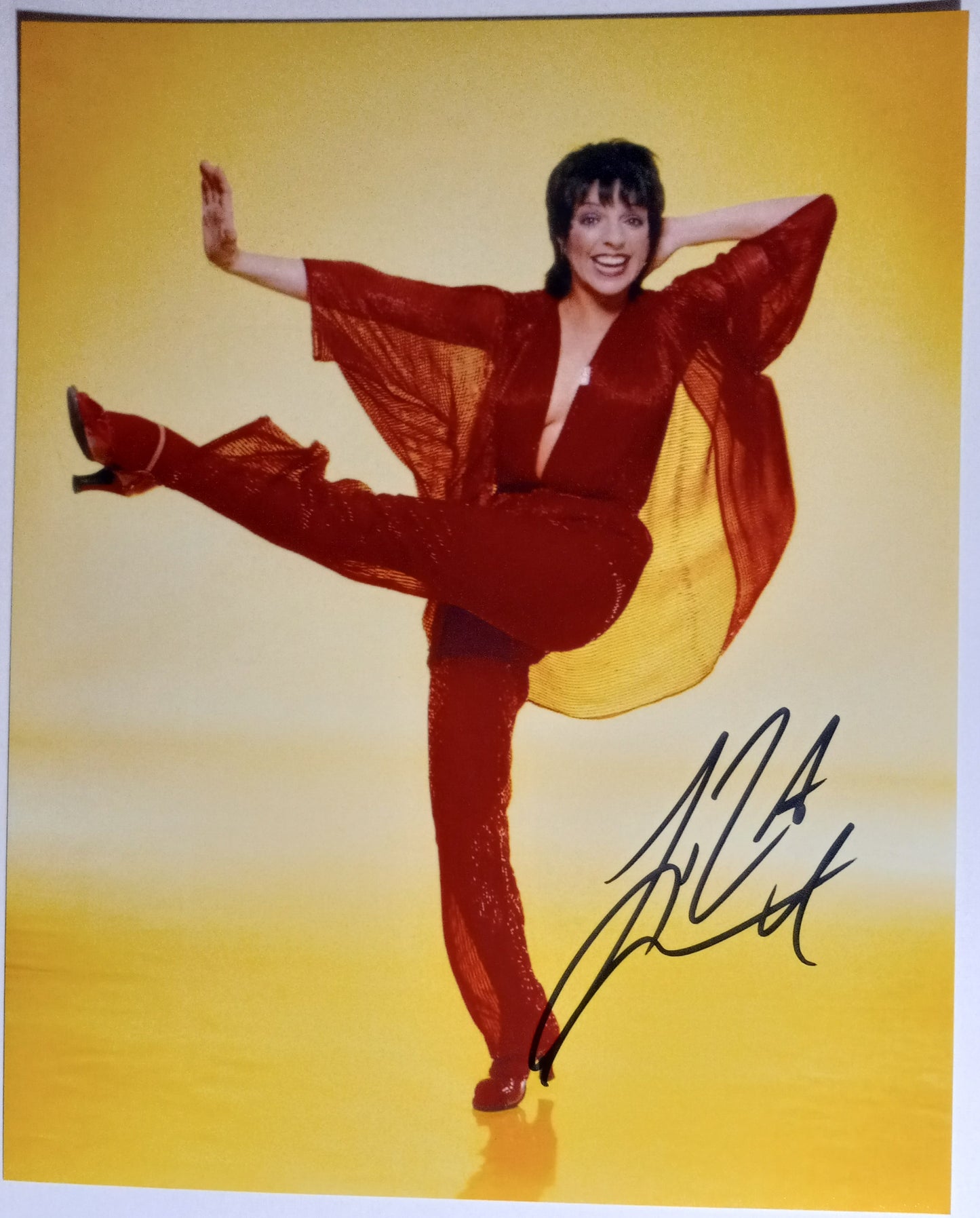 Liza Minnelli