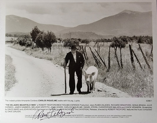 Robert Redford