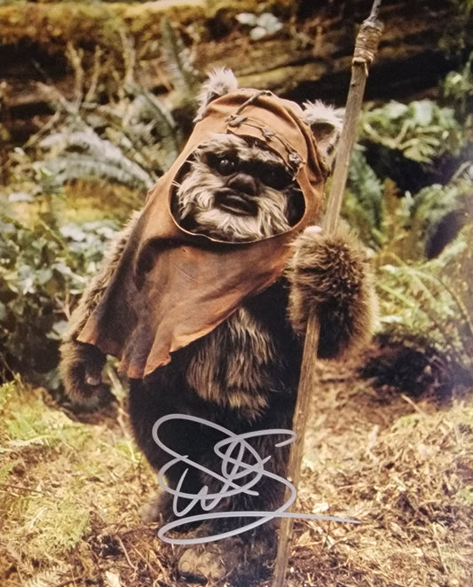 Warwick Davis