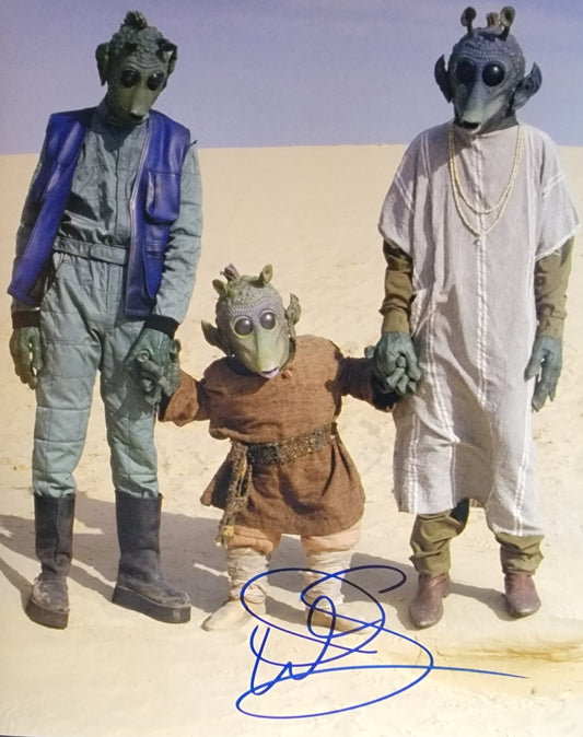 Warwick Davis