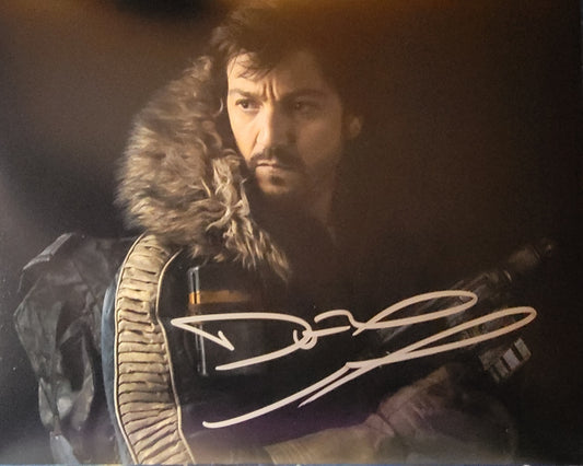 Diego Luna