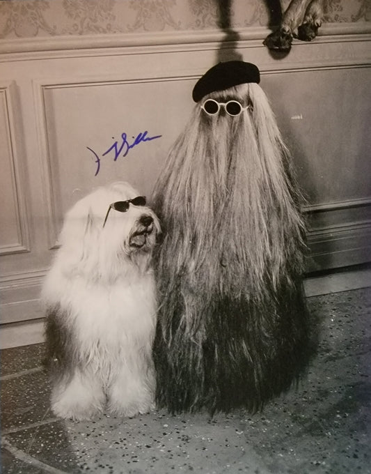Felix Silla