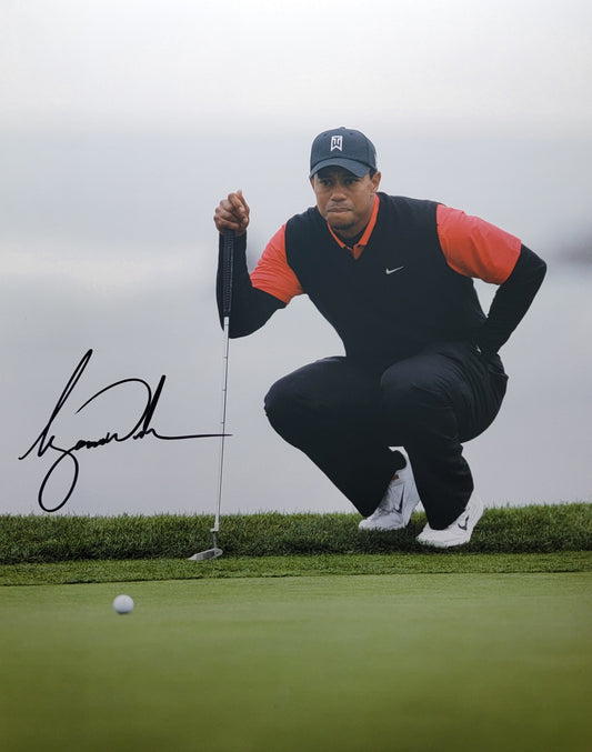 Tiger Woods
