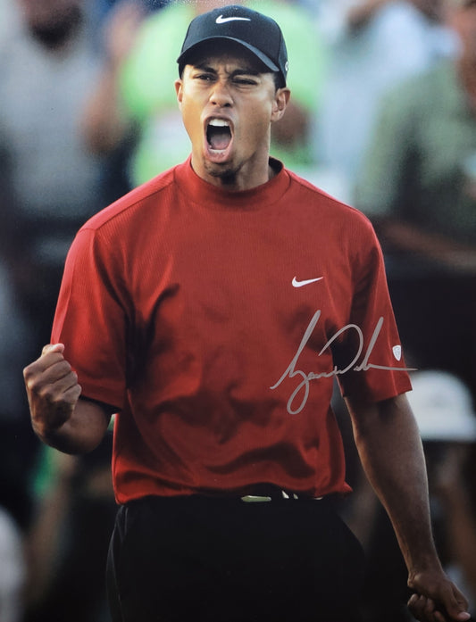 Tiger Woods
