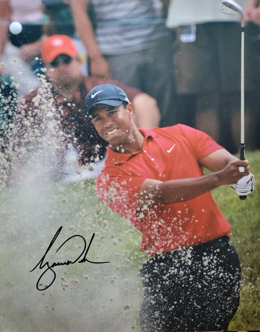 Tiger Woods